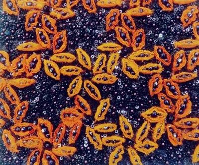 Zardosi - Orange beads